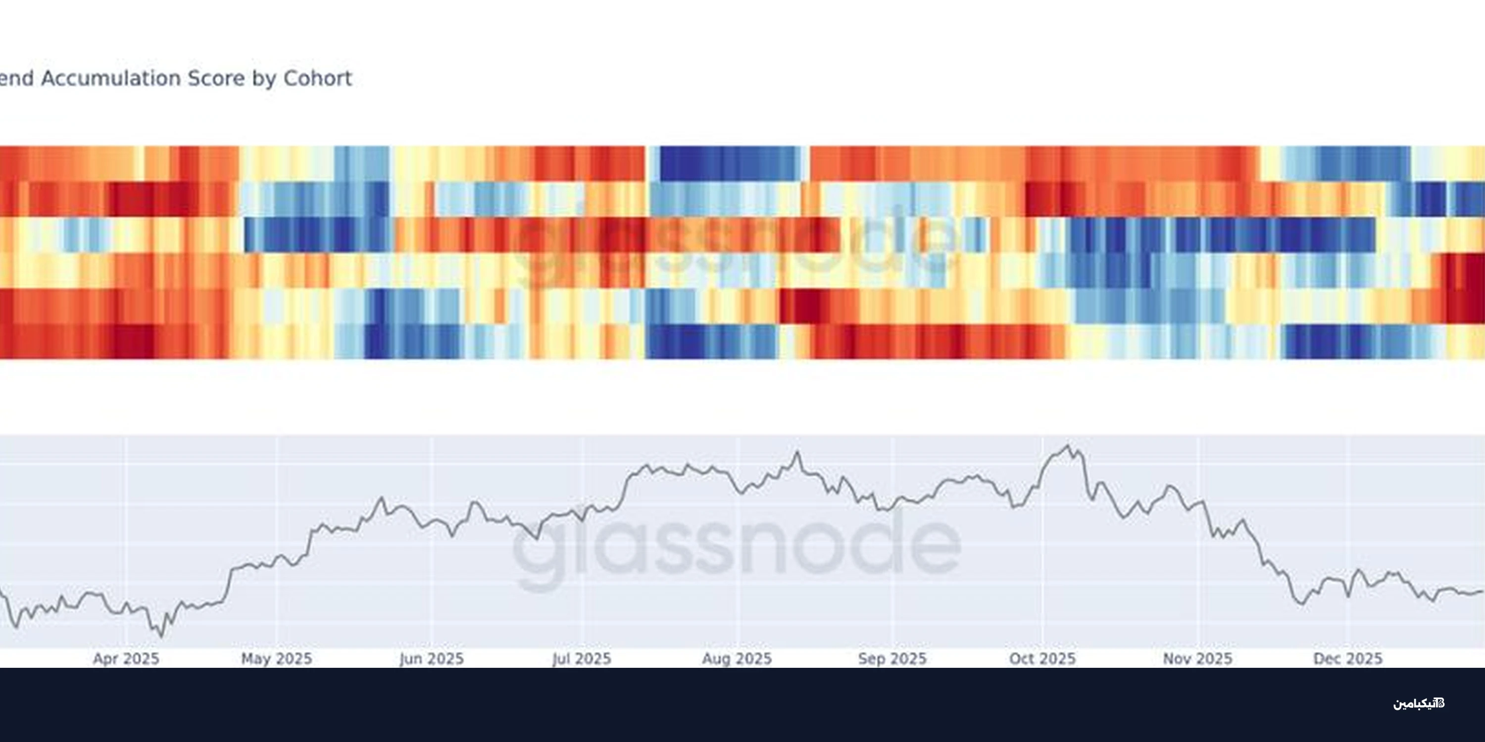 حيتان بيتكوين تواصل التجميع وصغار المستثمرين يبيعون