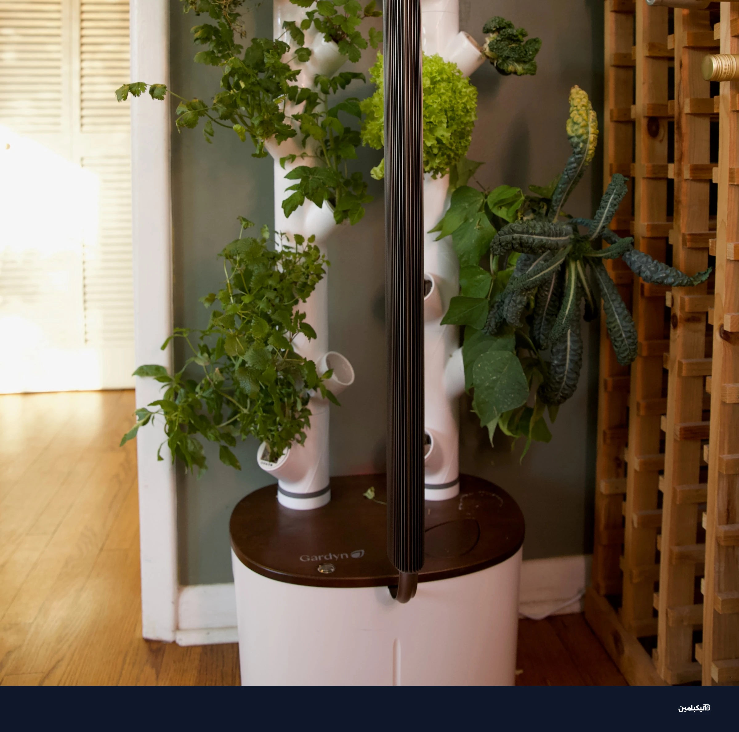 حديقة Gardyn Studio 2 الذكية