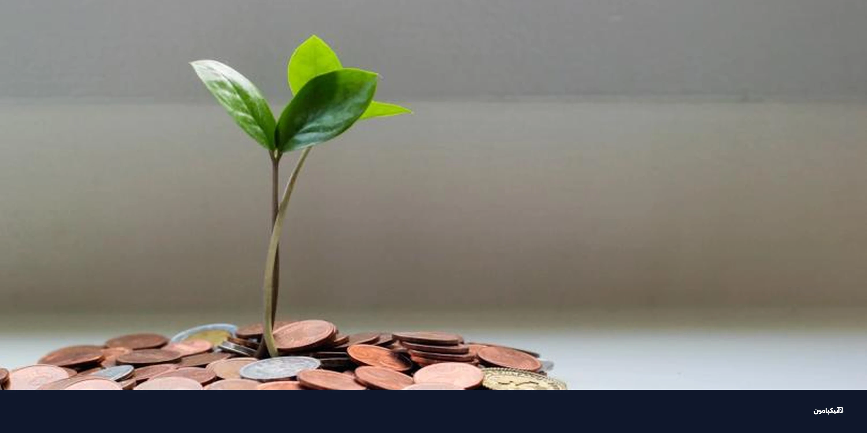 أوبتيميزم تقر إعادة شراء عملة OP من عوائد السوبرتشين