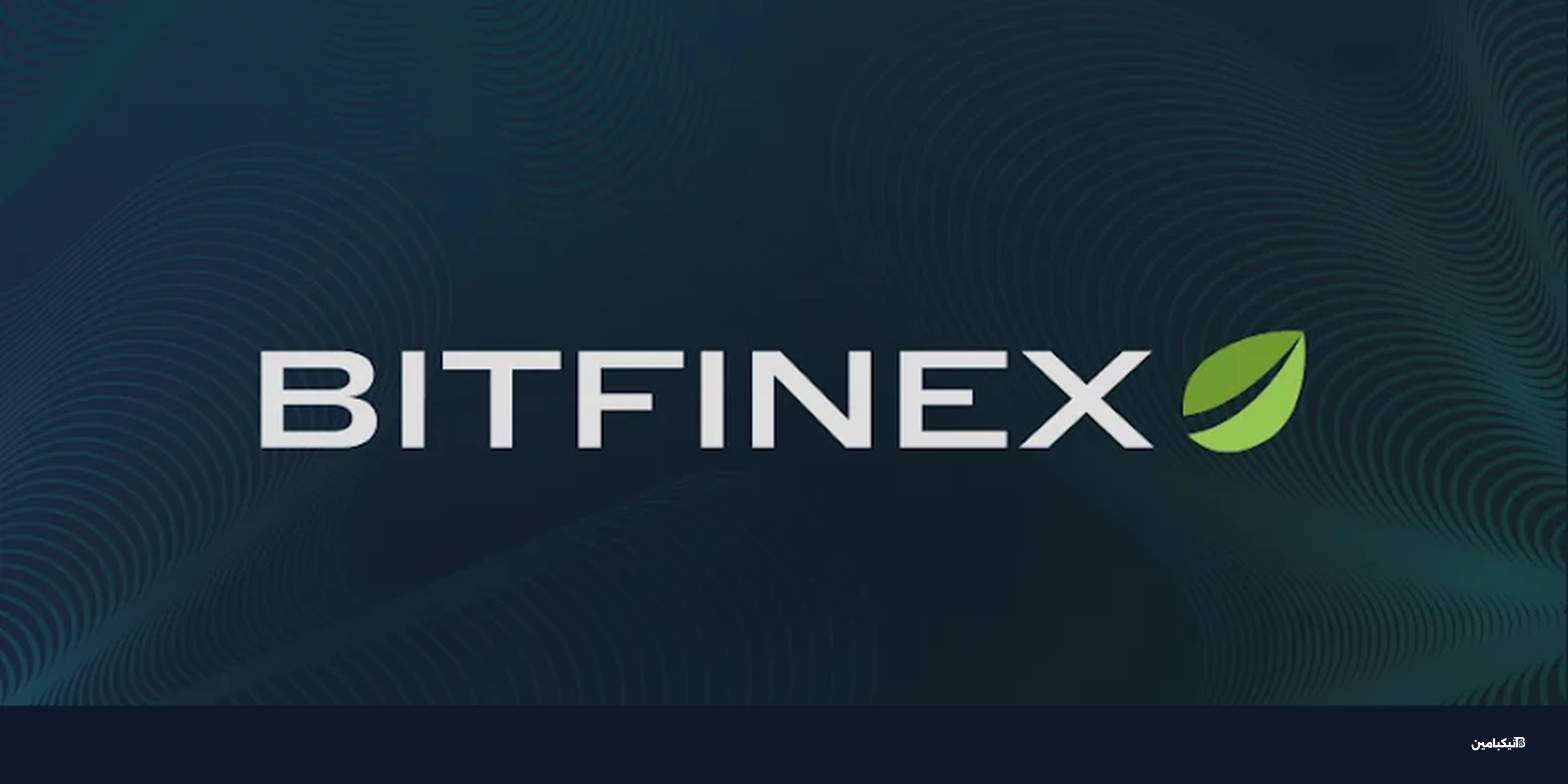 إطلاق سراح مخترق منصة بيتفينكس إيليا ليختنشتاين مبكراً