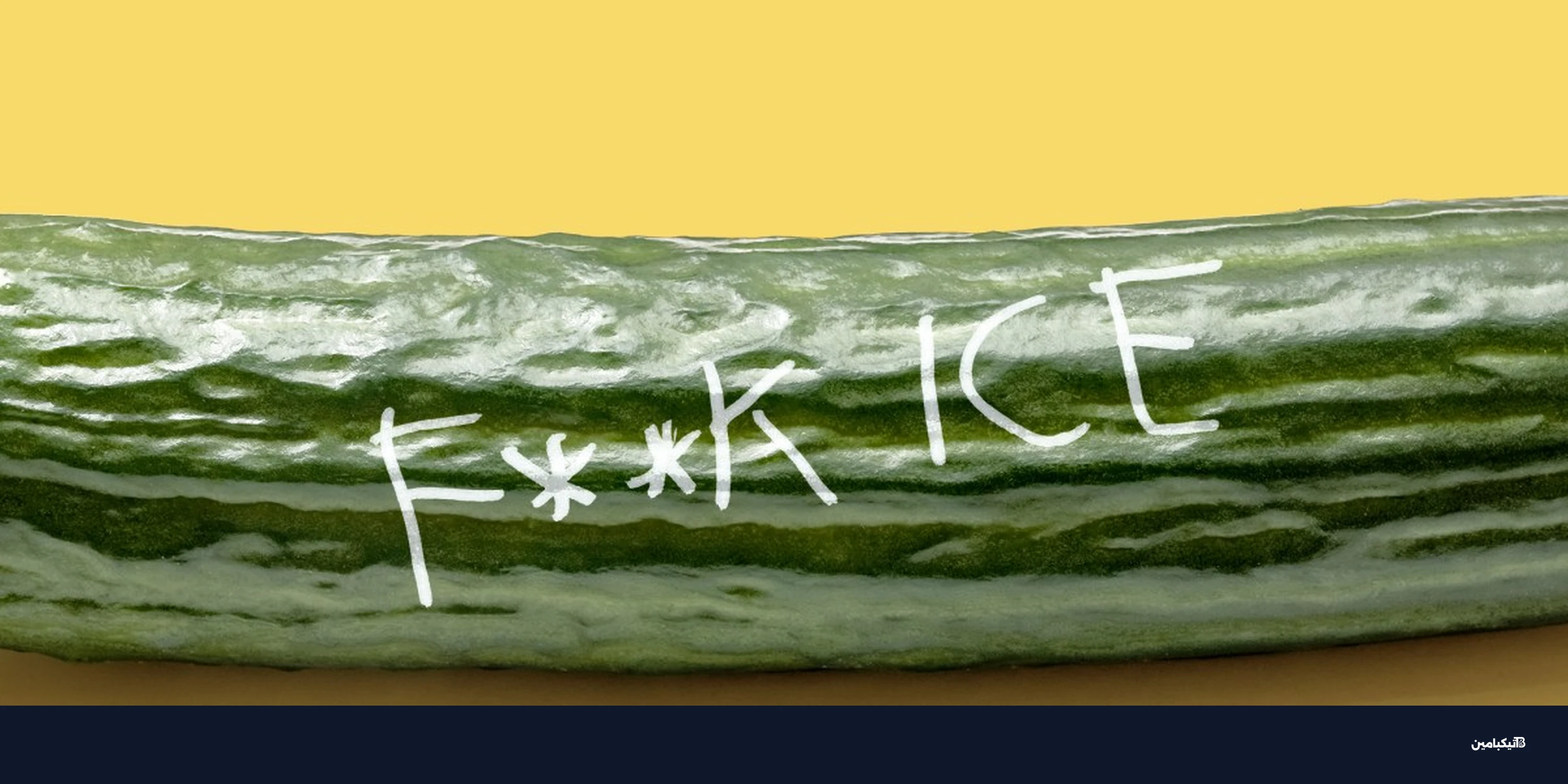 احتجاجات سياسية تغزو مجتمعات ريديت للبالغين: القصة الكاملة