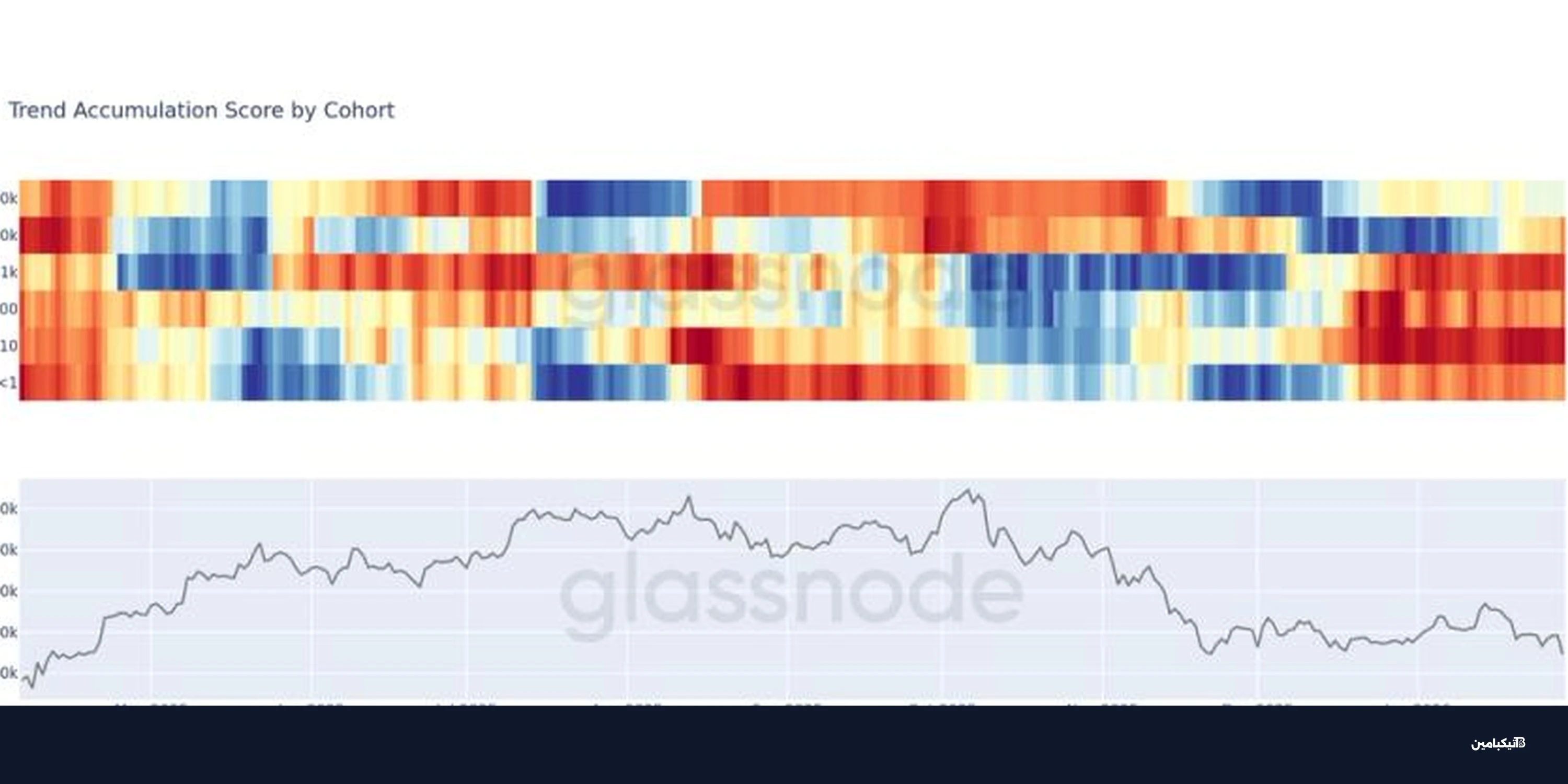 لماذا تشتري الحيتان البيتكوين الآن بينما يهرب الأفراد؟