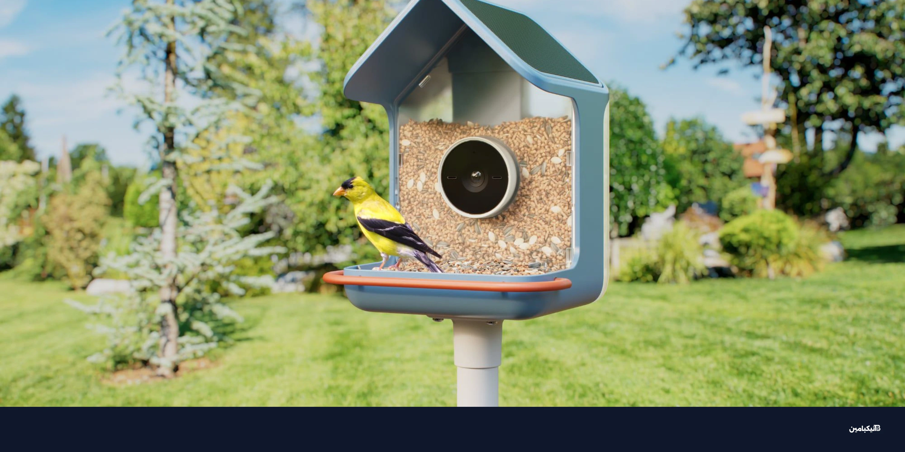 CES 2026: بيرد بادي تكشف عن مغذيات طيور ذكية جديدة