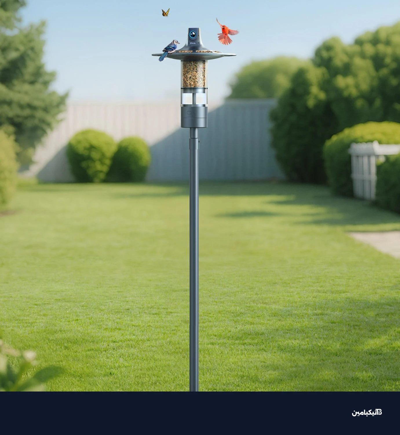 بيردفاي فيستا كامل