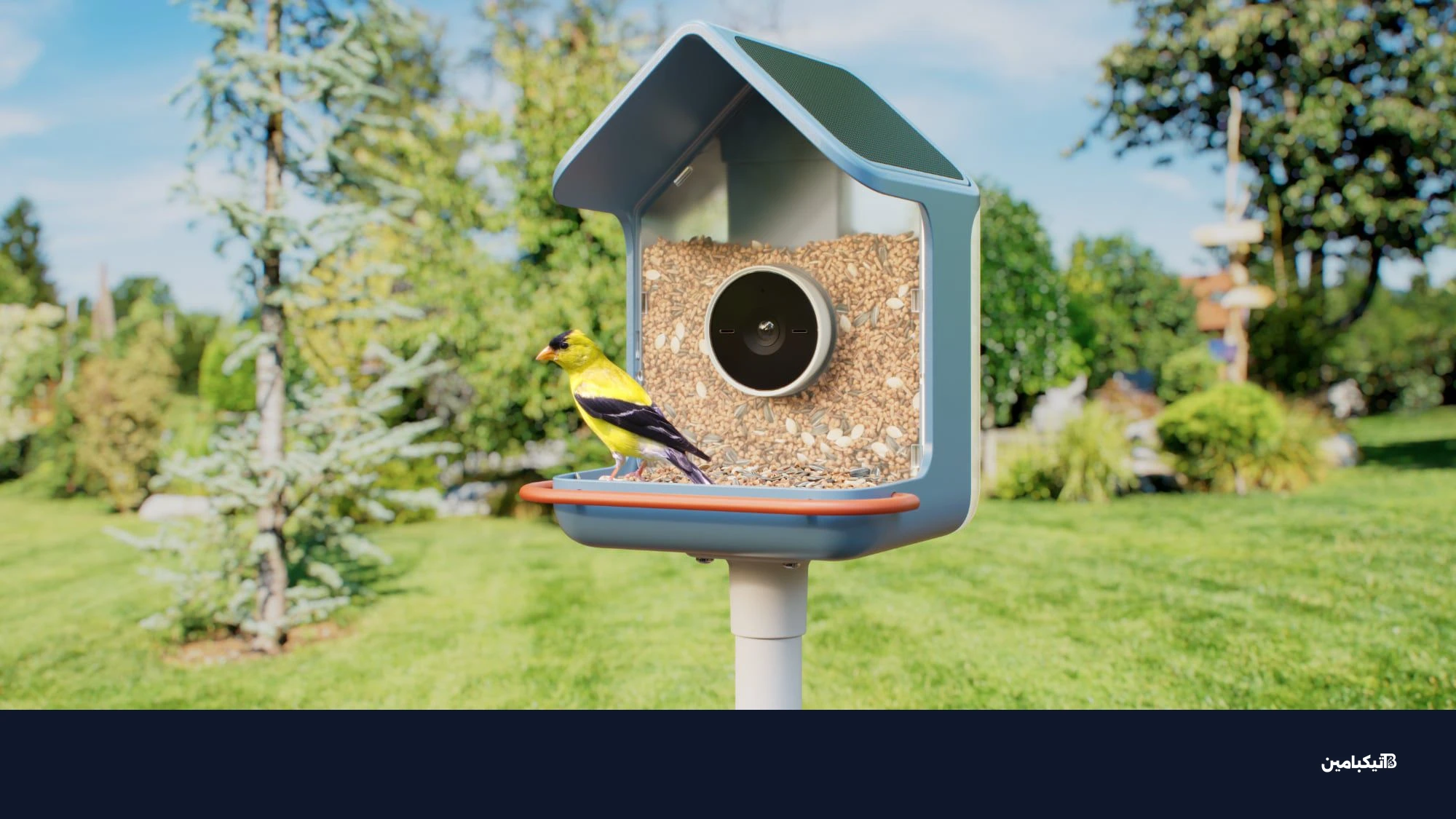 جهاز بيرد بادي 2 الجديد