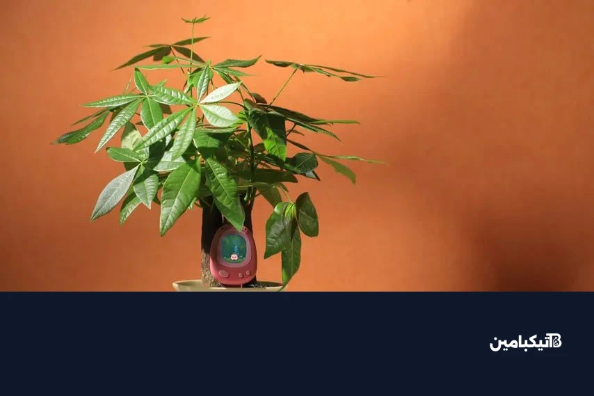 ces 2026 senso plant sensor