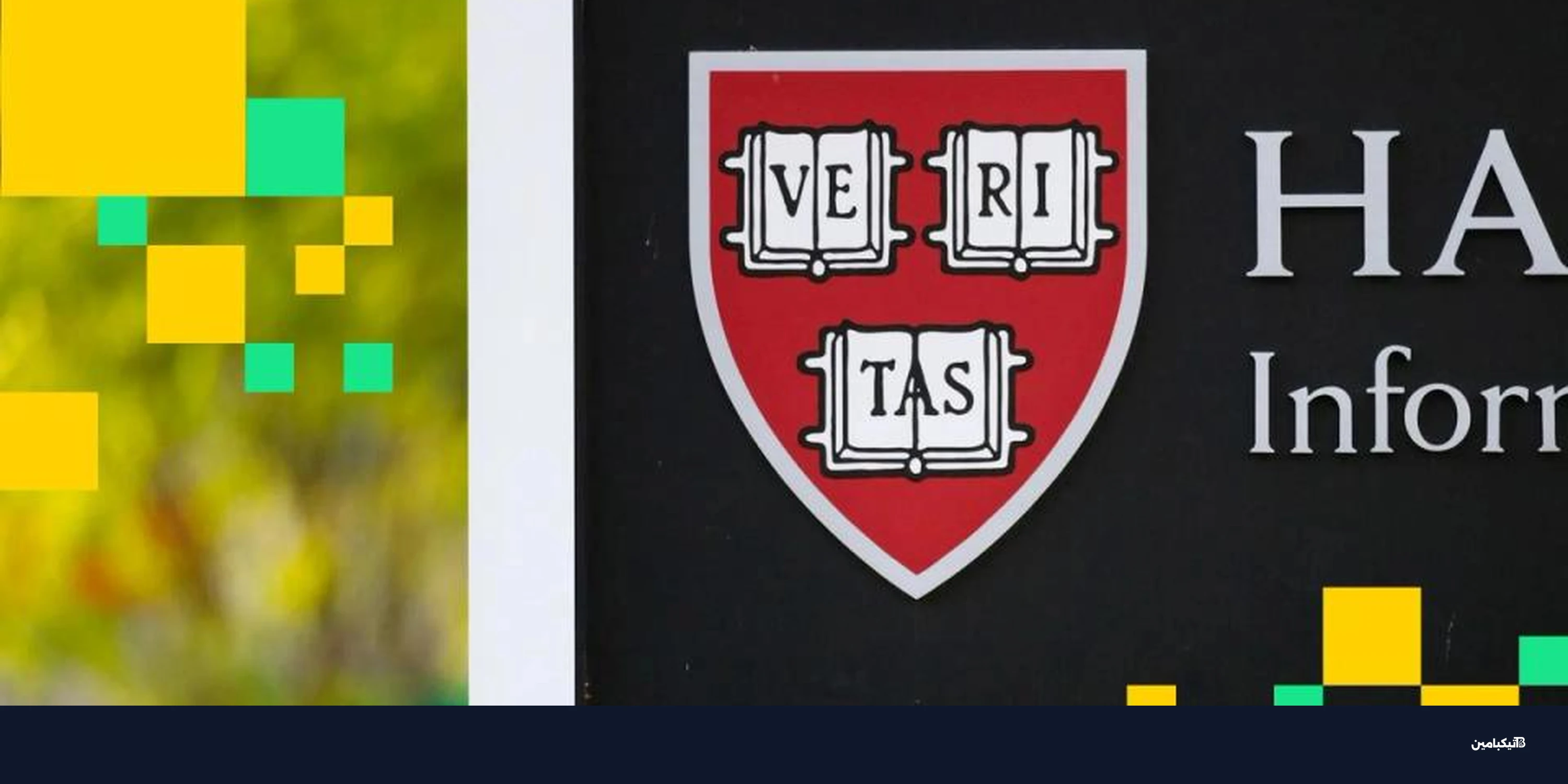 استثمارات هارفارد في بيتكوين تتراجع وإيثريوم يدخل