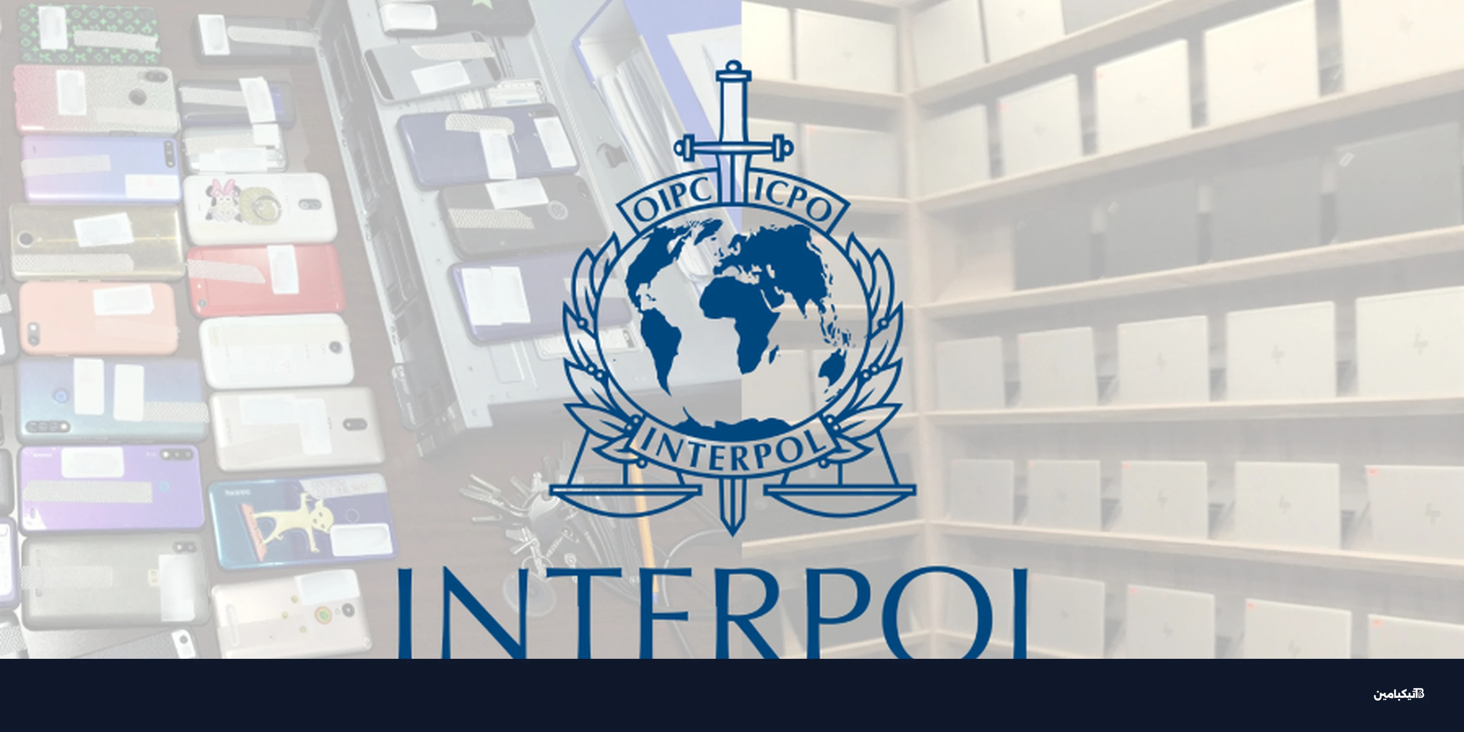 الإنتربول يعتقل 651 شخصاً في أكبر عملية ضد الاحتيال بأفريقيا