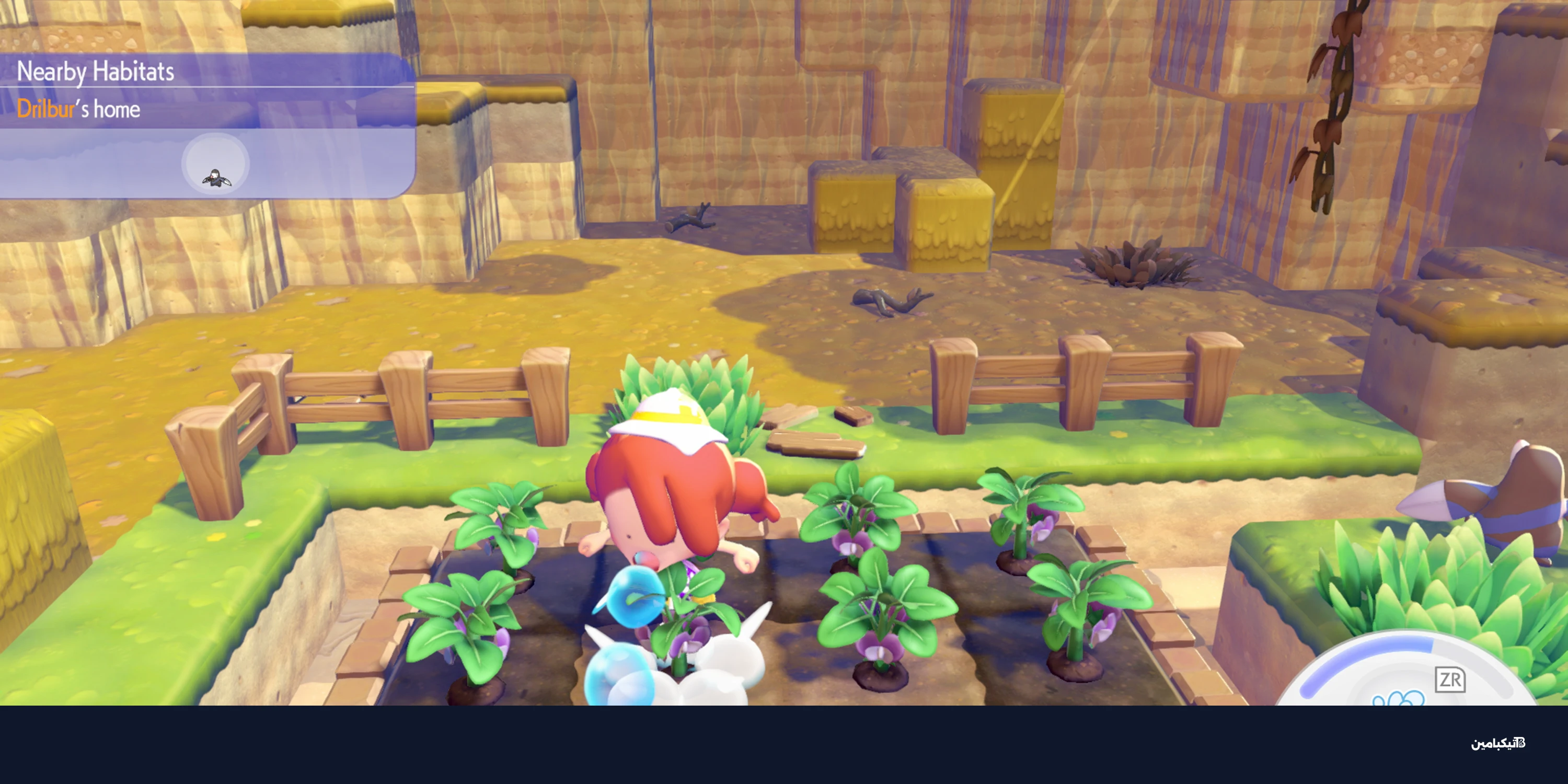 بوكوبيا: تجربة بوكيمون مختلفة على نينتندو سويتش 2