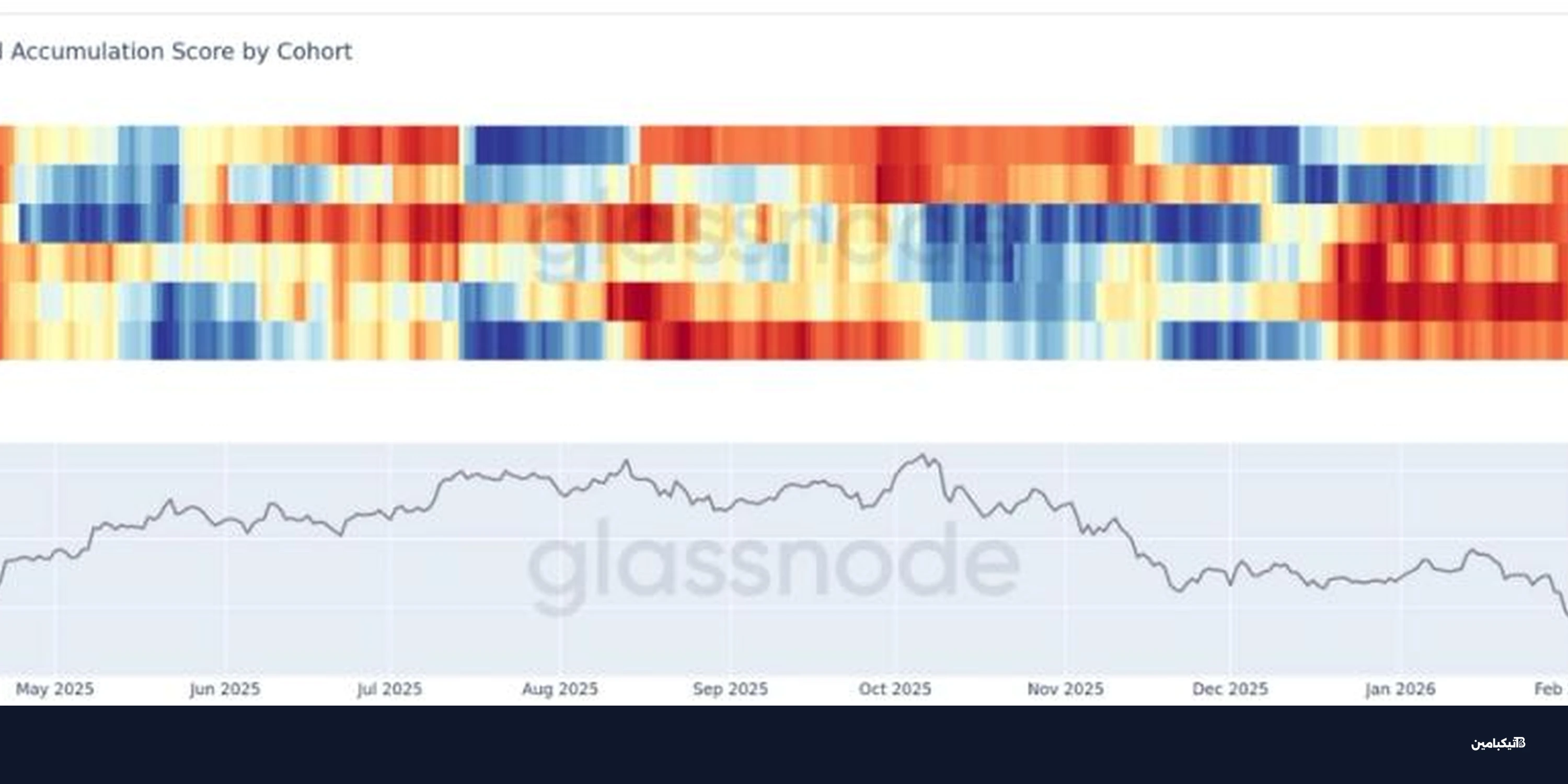 تزايد شراء بيتكوين بقوة بعد الهبوط الكبير للأسعار