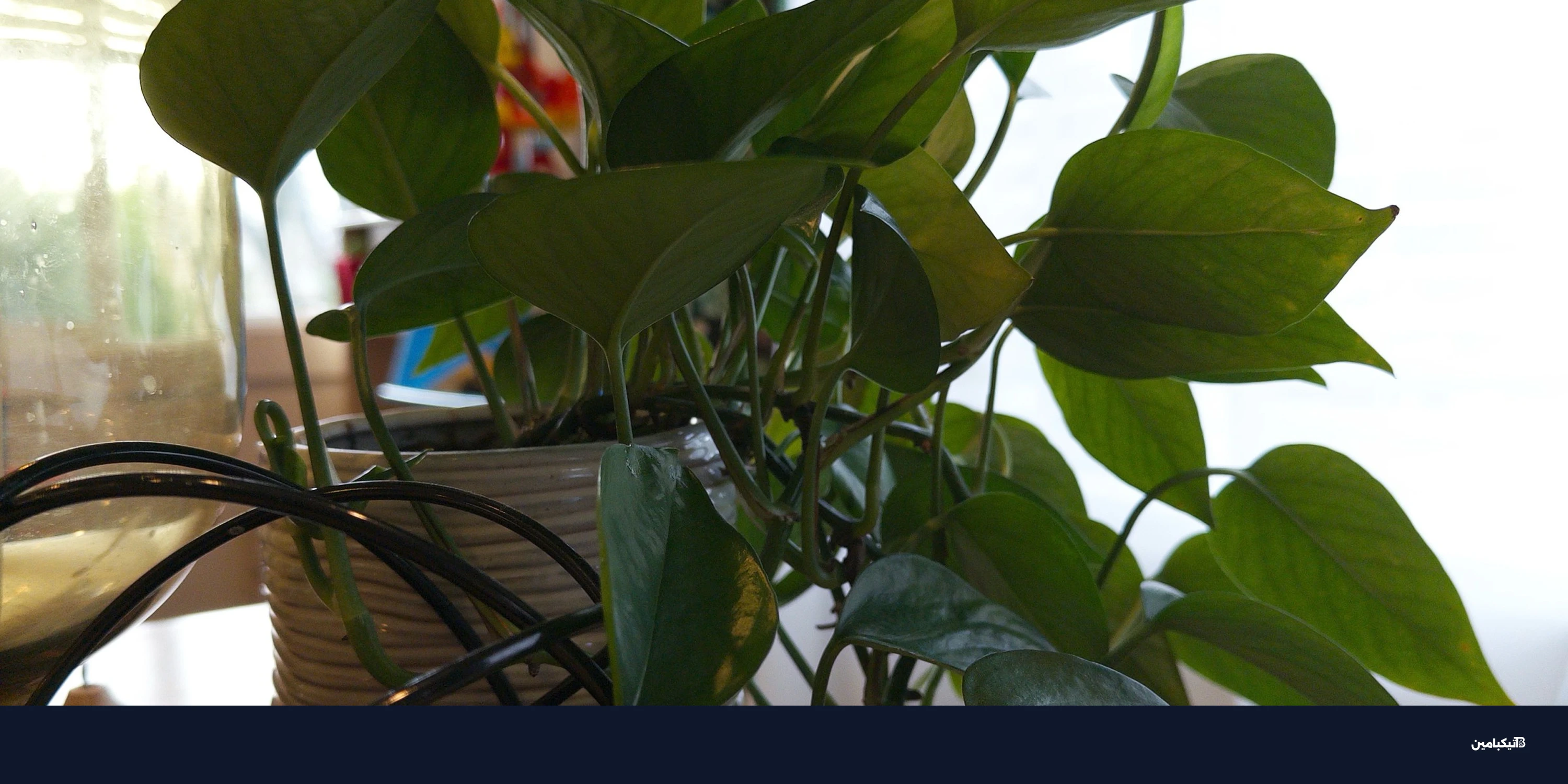 تطبيق Halide الجديد: صور آيفون طبيعية بدون معالجة مفرطة