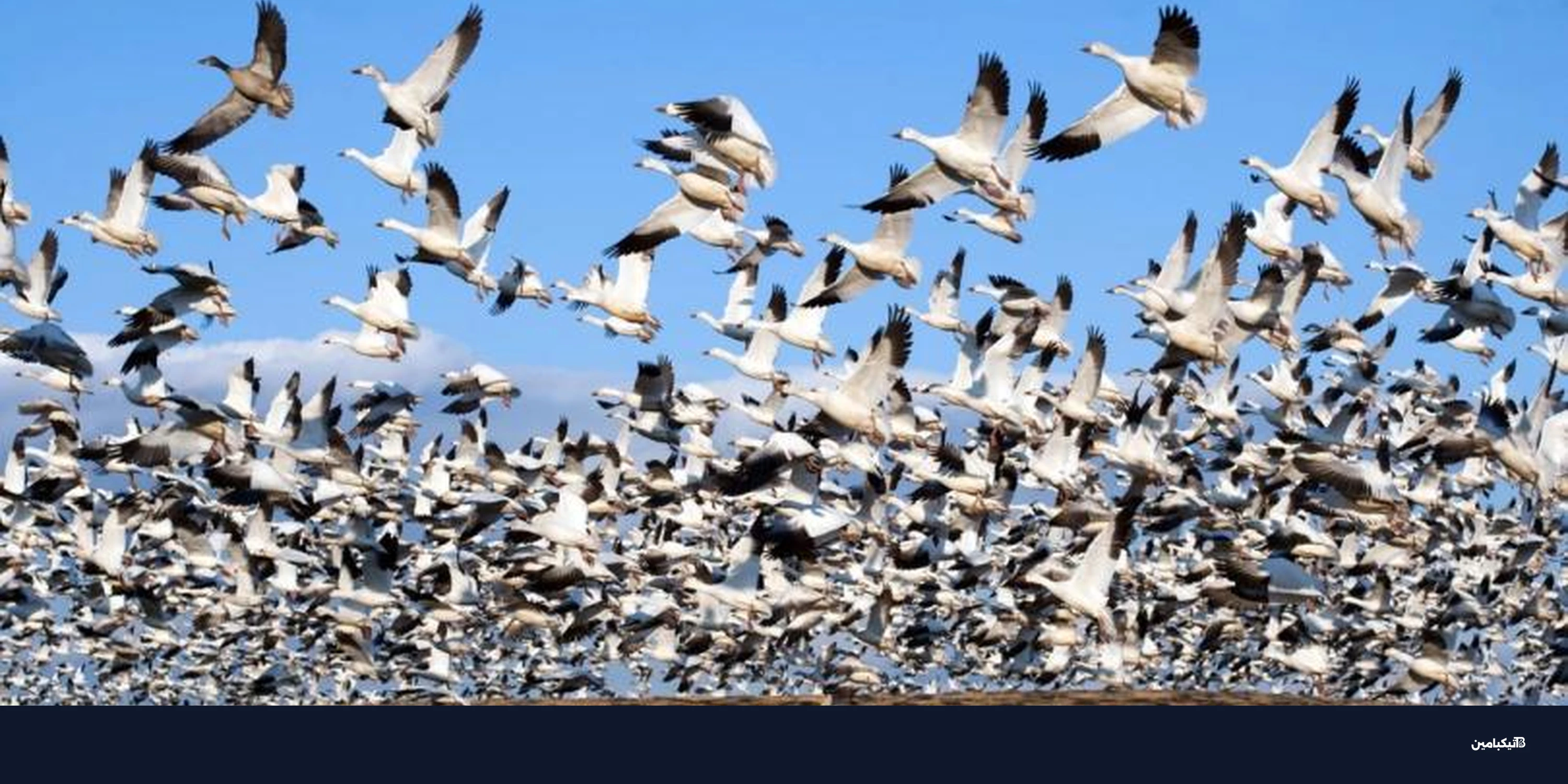 منصة Zora تطلق أسواق تداول التوجهات على سولانا