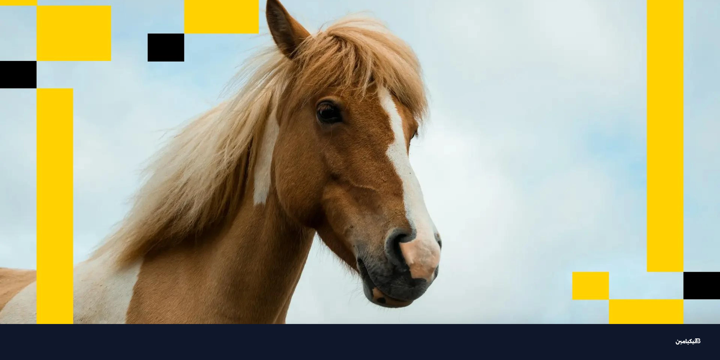 هل يعيد إيثيريوم سيناريو الصعود التاريخي؟