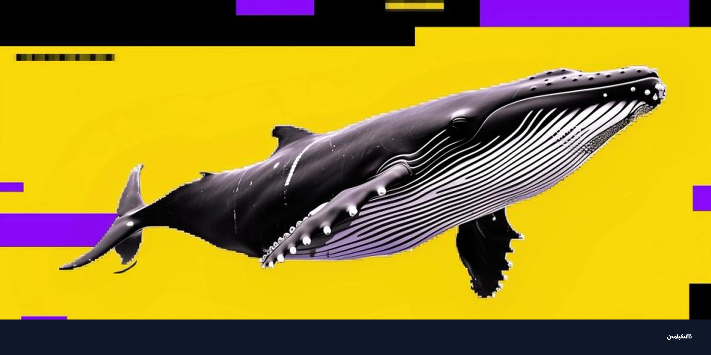 تراجع بيتكوين يستمر مع بيع الحيتان وذعر السوق