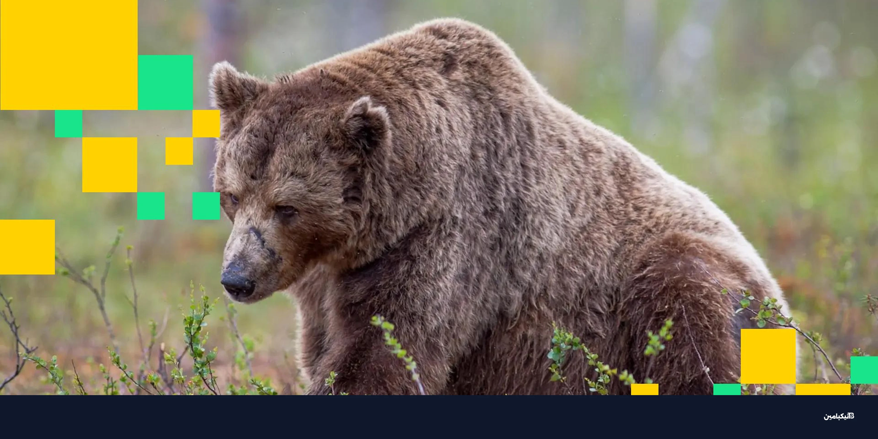 تسريحات شركات العملات الرقمية تتسارع في 2026