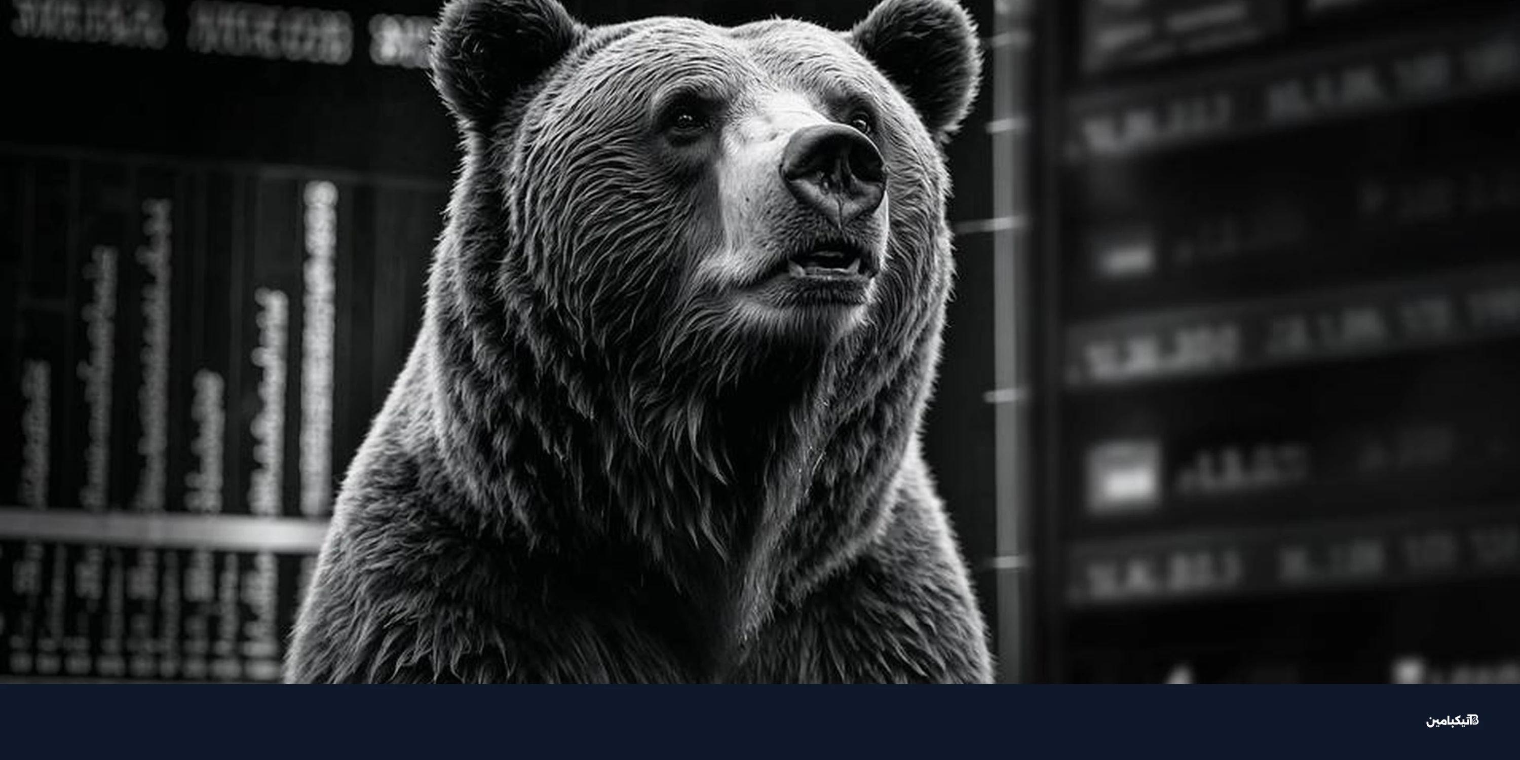 مؤشر البيتكوين يحذر من انخفاض جديد: إشارة خطيرة للمستثمرين