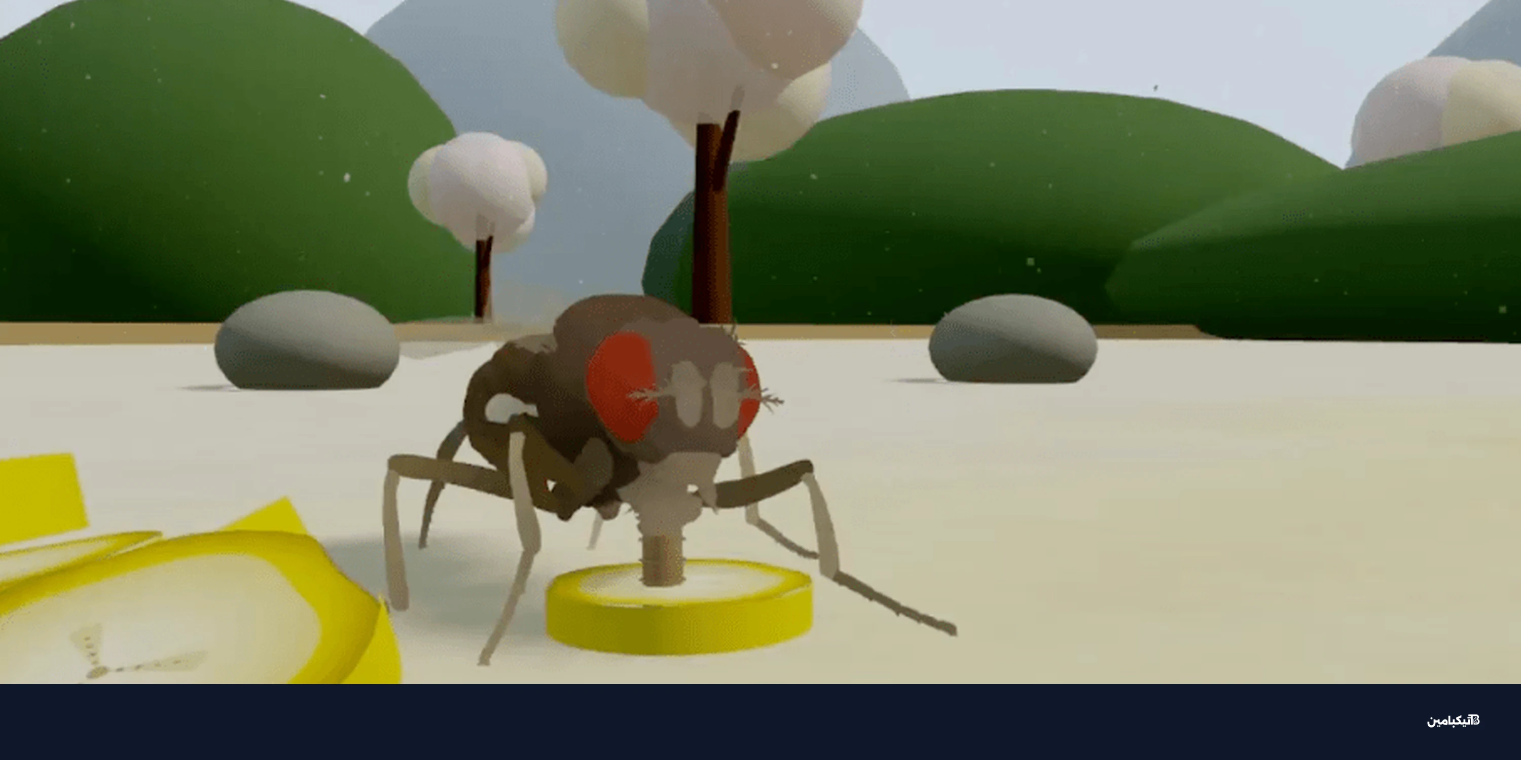 محاكاة دماغ ذبابة: هل نجح العلماء في رفع وعي حيوان؟