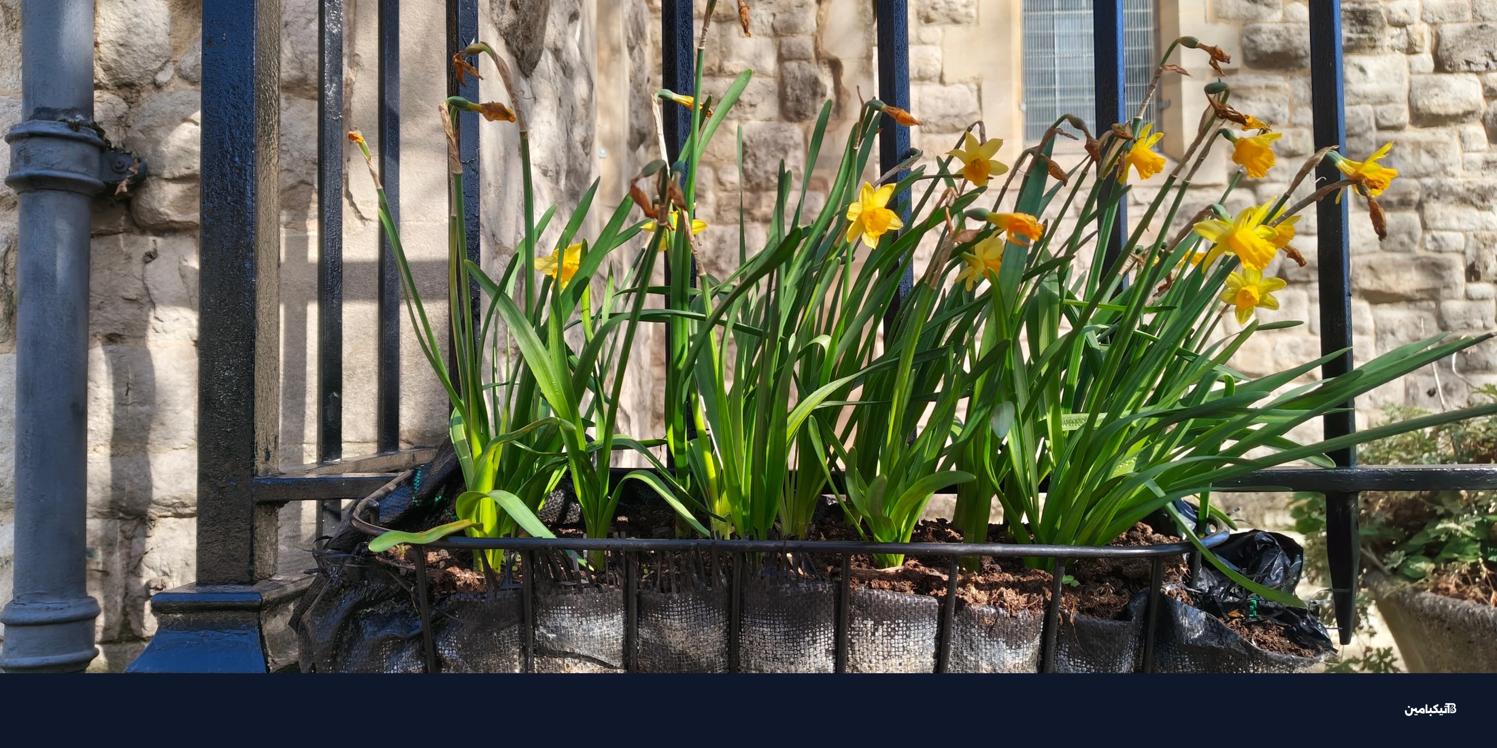 مراجعة هاتف Nothing Phone 4A Pro: تصميم معدني فخم