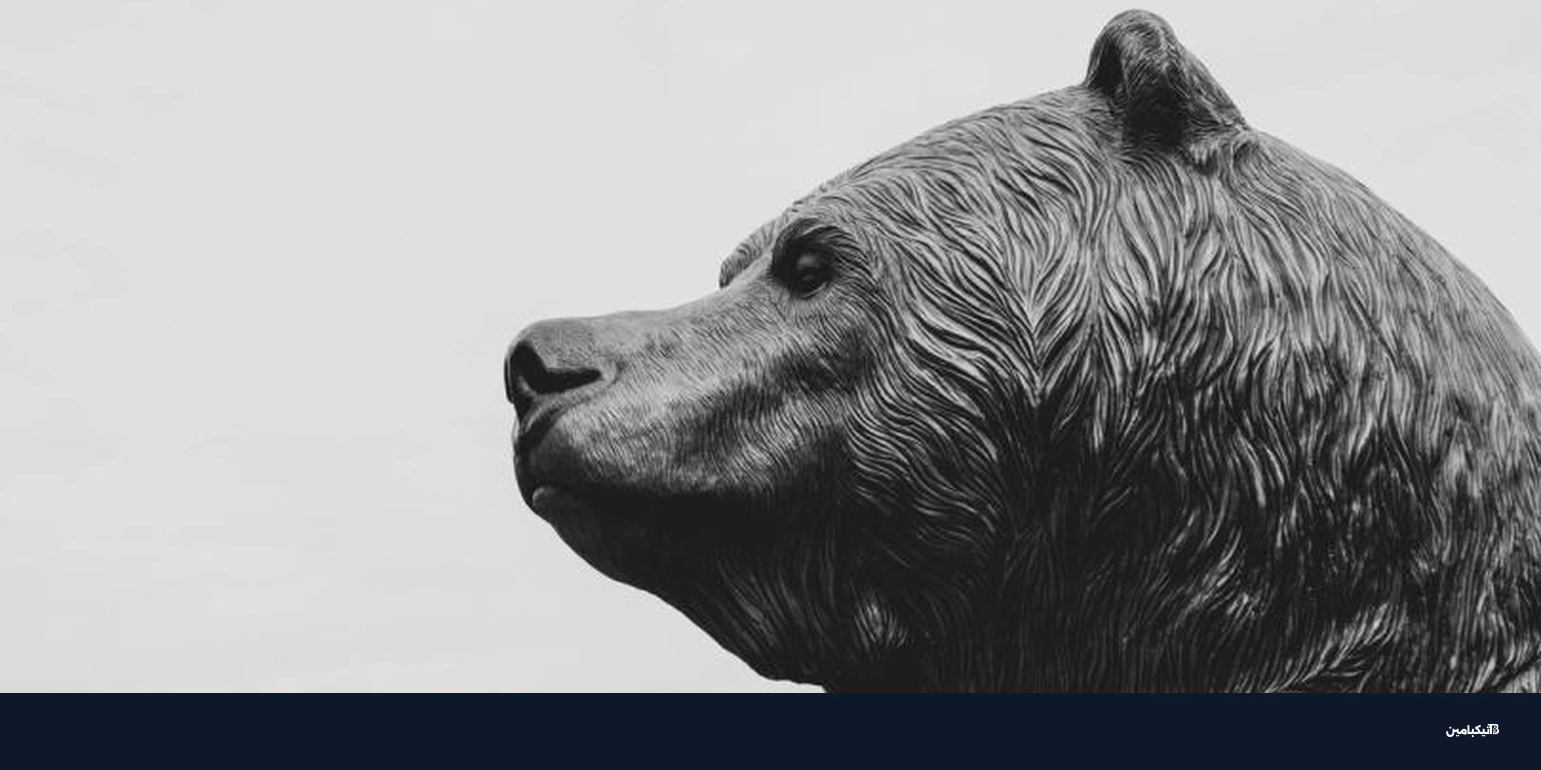 هبوط العملات الرقمية مع تراجع بيتكوين وإيثريوم