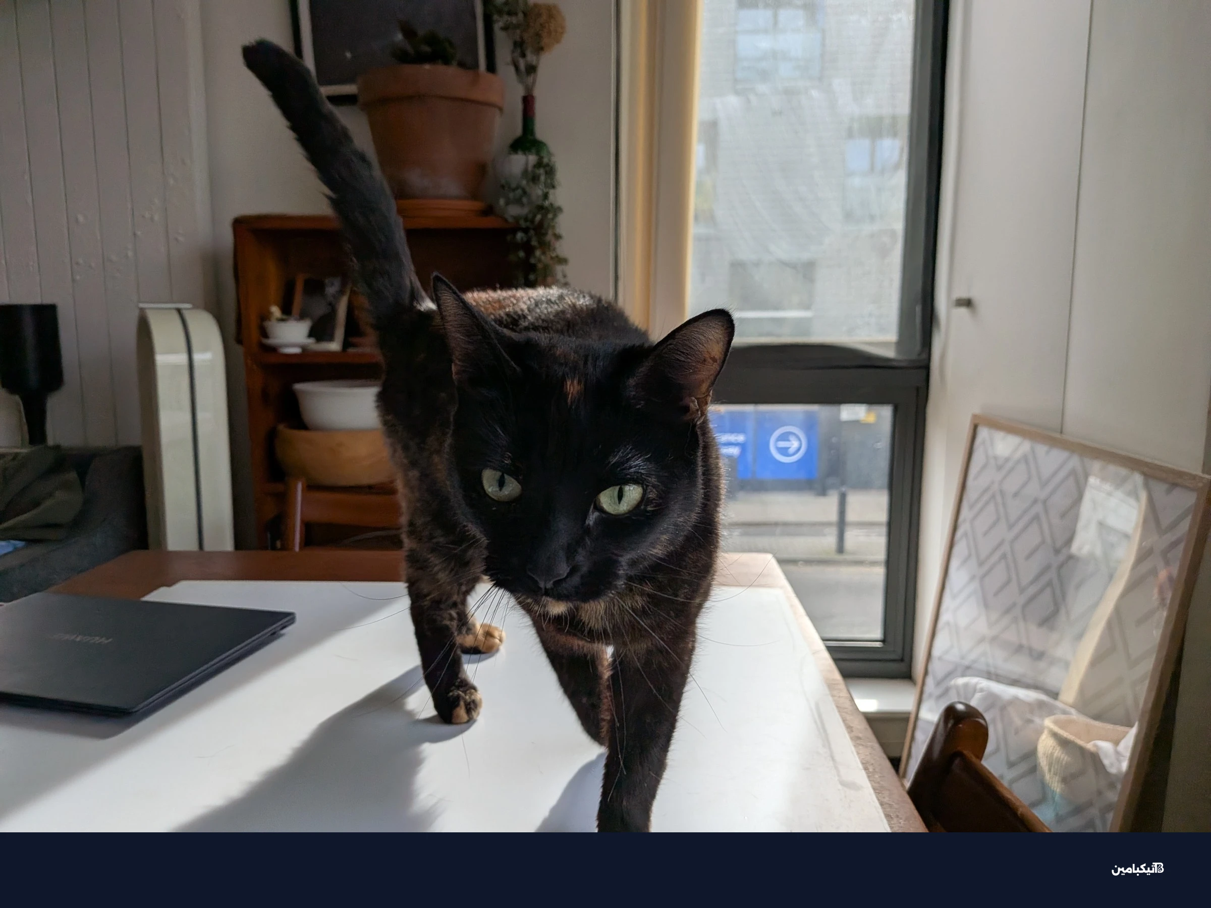 نموذج صورة من كاميرا Pixel 10A