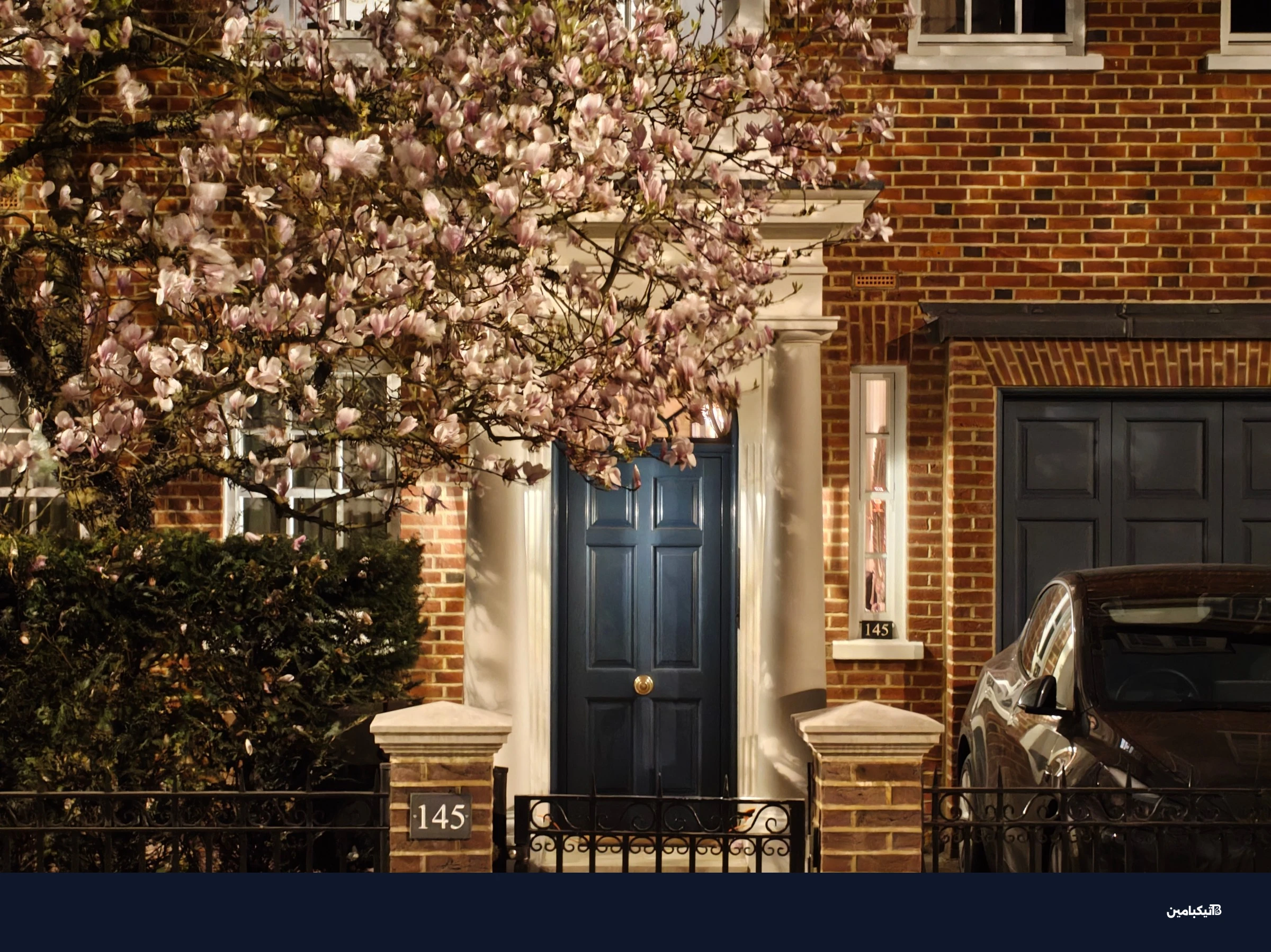 هذه اللقطة المقربة في الإضاءة الخافتة تبدو رائعة في البداية ولكن انظر بشكل أقرب إلى الزهرة.