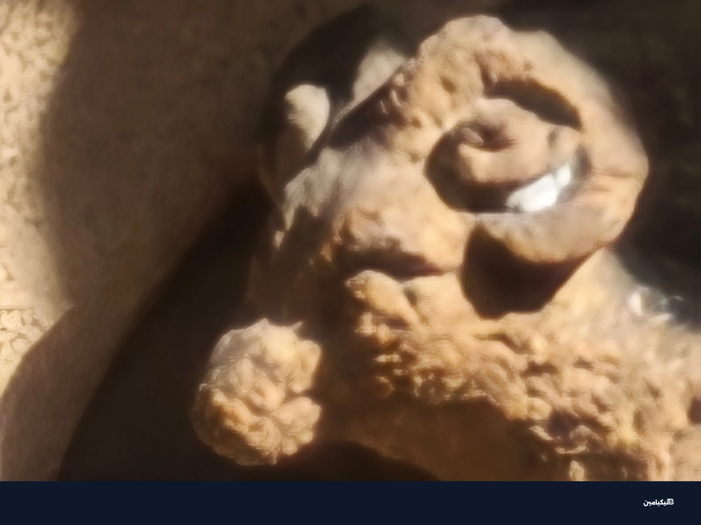 لقطة عينة من التقريب الرقمي