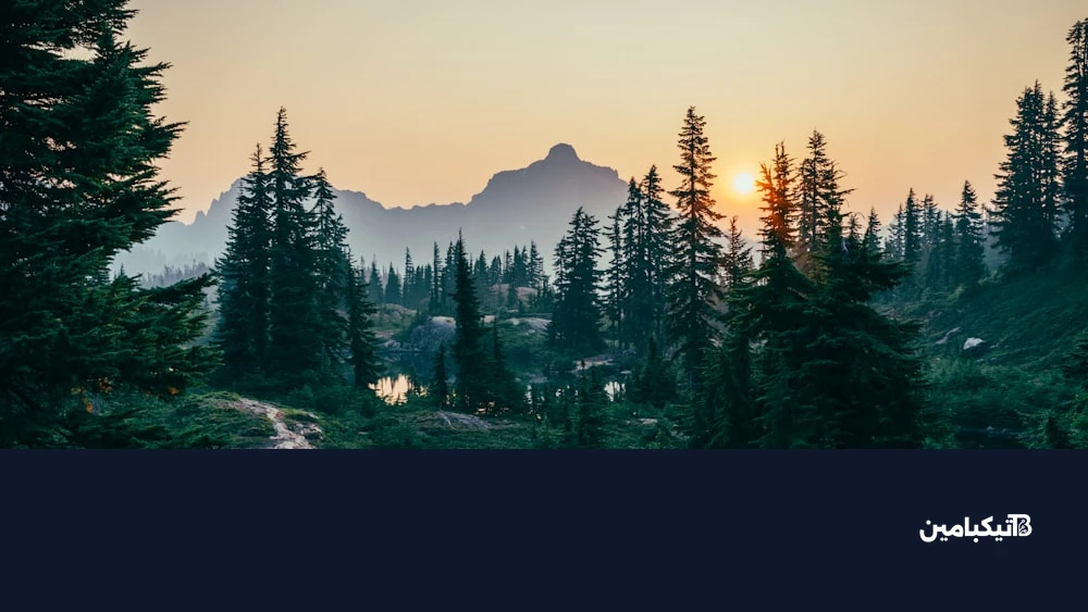 تحليل سعر عملة بيتكوين والتغيرات في السوق المالي