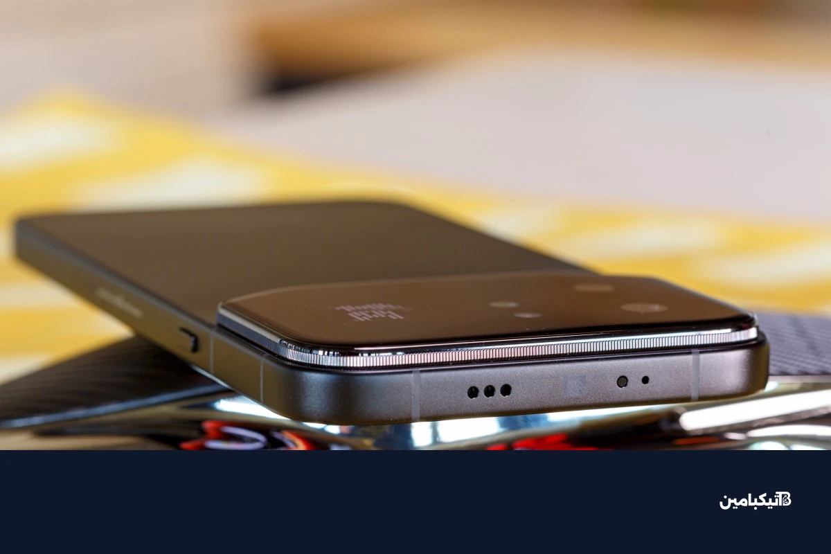 تفاصيل الظهر