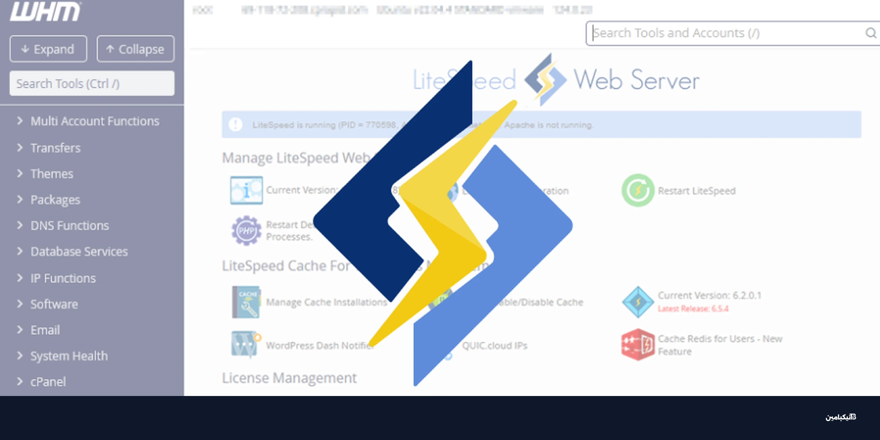 ثغرة LiteSpeed cPanel تهدد السيرفرات: كيف تحمي موقعك؟
