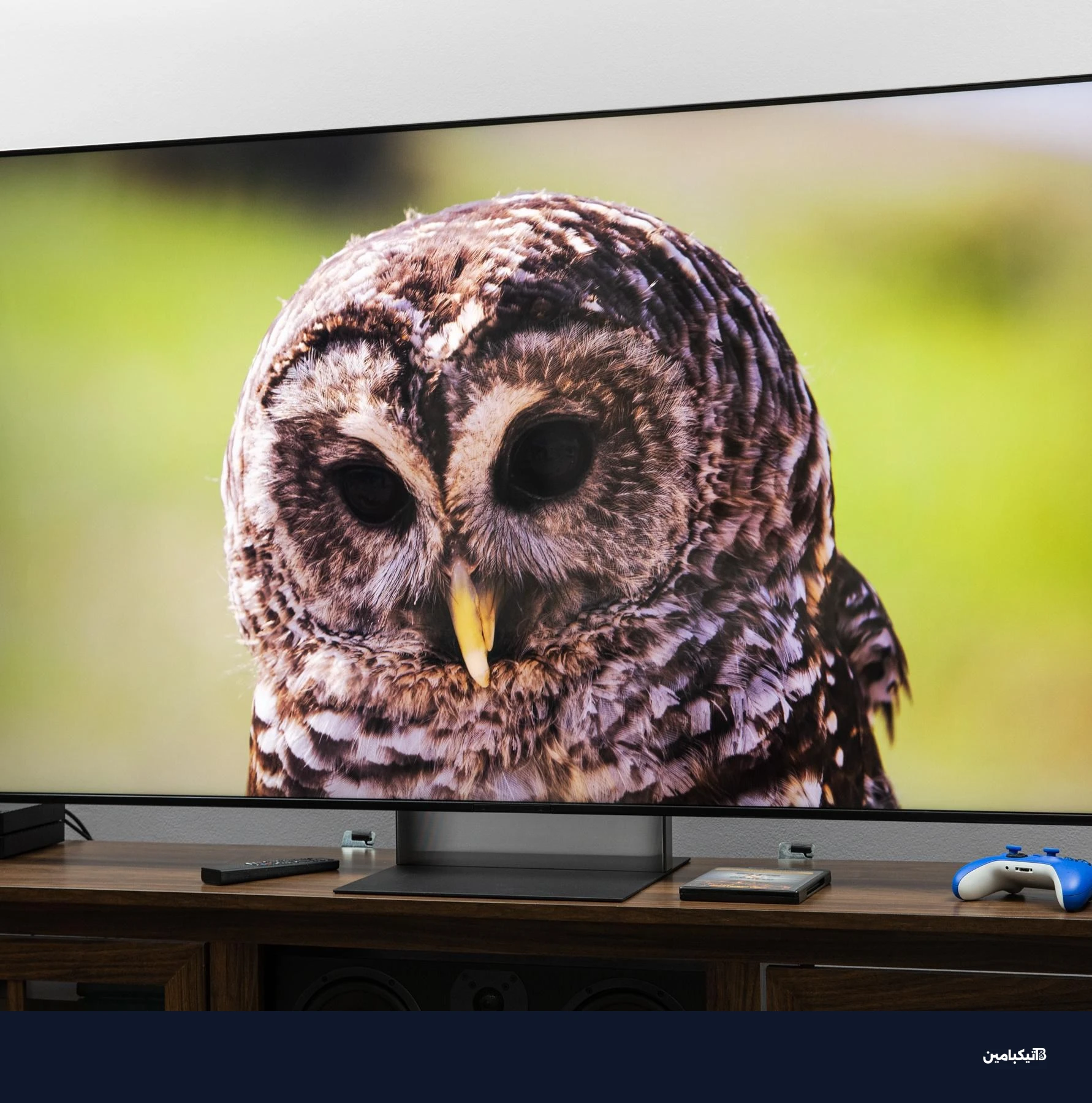 تلفاز سوني Bravia 7 II يعرض صورة بومة بدقة عالية