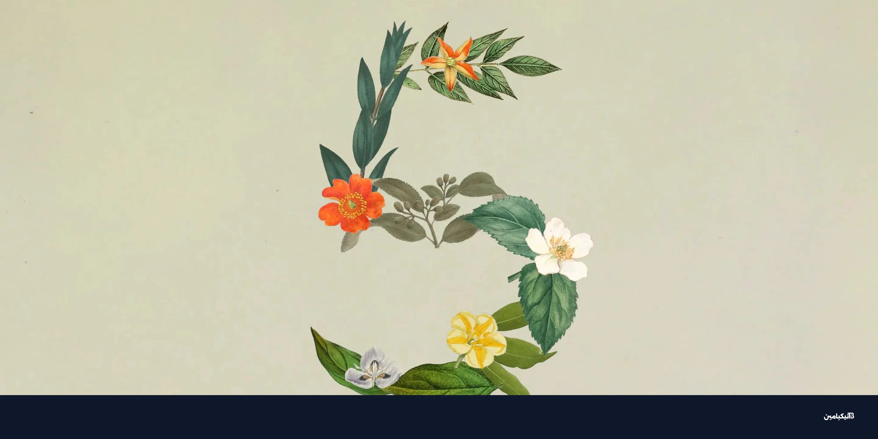 أنثروبيك تطلق Claude Sonnet 5 بسعر أقل وأداء أقوى