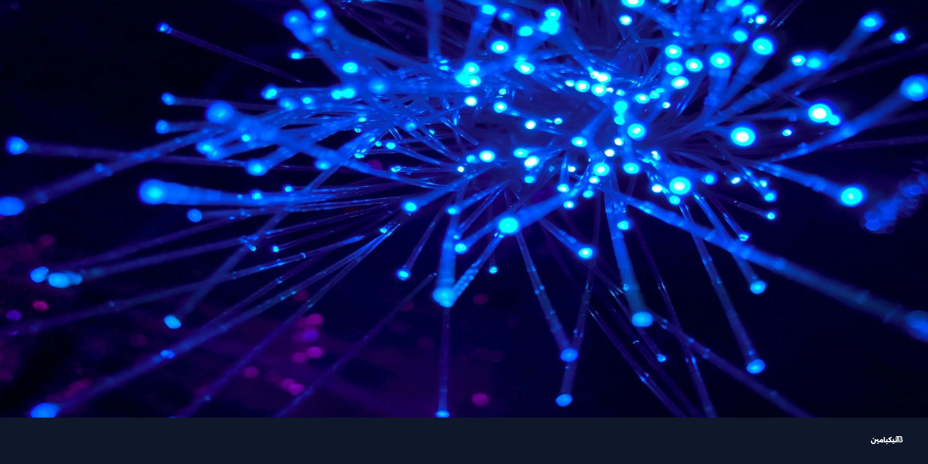 مدفوعات العملات الرقمية بلا جسور أو بوابات قريباً
